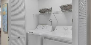 Turtle Lake Gallery 11