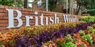British Woods Gallery 45