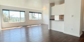 Bayview Apartments Gallery 53