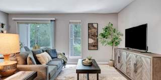 Triangle Place Gallery 1