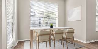 Elan Gallery 5
