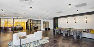 The Navigator The Navigator Gallery 11