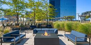 The Modern Gallery 50