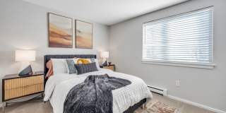 The Meadows Gallery 35