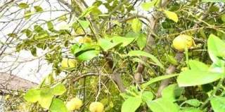 16204 Crane Court Gallery 25