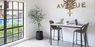 The Avenue Gallery 4