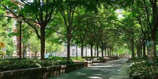 Greenwich on the Park Gallery 22