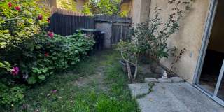 2745 Canyon Creek Dr Gallery 15