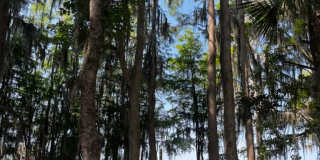 980 Ibis Circle Gallery 27