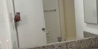 k820 Gallery 23