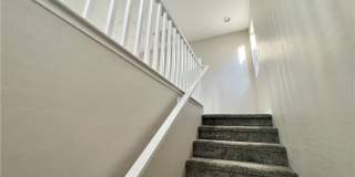 7108 Tilligerry Street Gallery 11