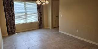 2738 Cinnamon Teal Gallery 6