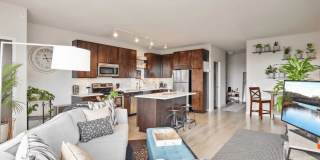 Blue and Lime Gallery 3