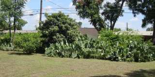 442 SHARON DR Gallery 12