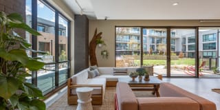 The Village Drey Gallery 51