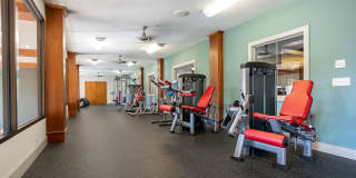 The Seasons of Carmel Gallery 47