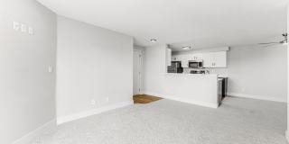 Sofi at Cedar Mill Gallery 8