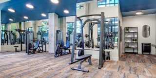 The Ardea Apartments Gallery 7