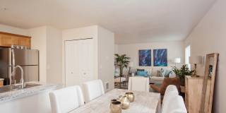 Millennium Park Gallery 9