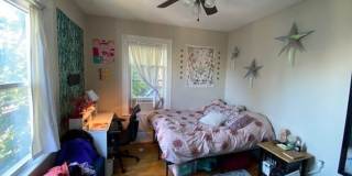 Large 4 bed in Mission Hill Gallery 11