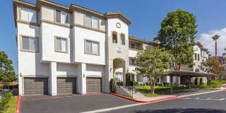 Elan Oceano Gallery 3