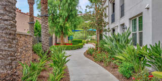 Palisades at Sierra Del Oro Gallery 30