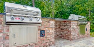 Waterleaf at Salt Creek Gallery 18