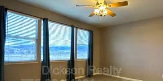 10691 Fire Poppy Circle Gallery 11