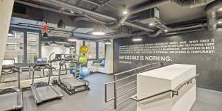 Coda on Half Gallery 19