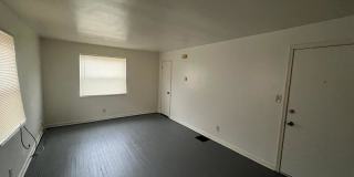 246 Basswood Avenue - 4 Gallery 1