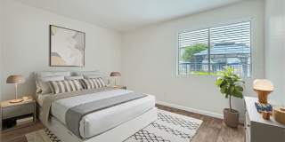 Rise Desert Cove Gallery 50