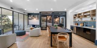 Elm at Panorama Gallery 39