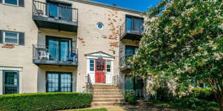 438 N Armistead St #304 Gallery 1