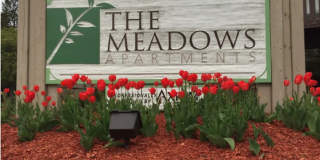 The Meadows Apartments Gallery 6