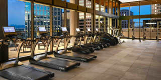 Astra Tower Gallery 4