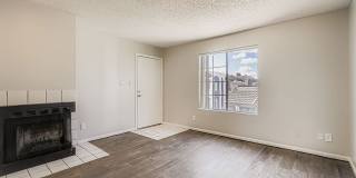 Rise on Cactus Gallery 71