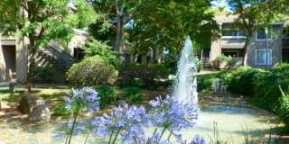 Monte Vista Apartments Gallery 20