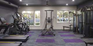 Luxor Lifestyle Apartments Montgomeryville Gallery 7