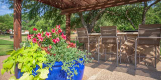 The Trails Apartments Gallery 30