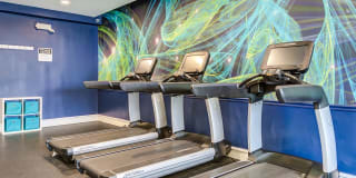 Arrive Alexandria Gallery 9