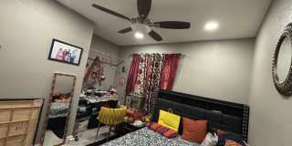 1598 Trieste Way Gallery 6