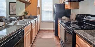 Arbor Hill Gallery 2