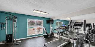 The Stella The Stella Gallery 11