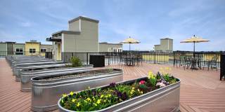 Destinations Lynnwood 61+ Active Adult Apartment Homes Gallery 59