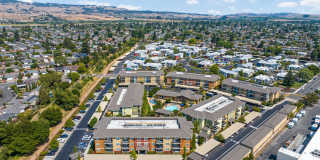 The Artisan Gallery 38