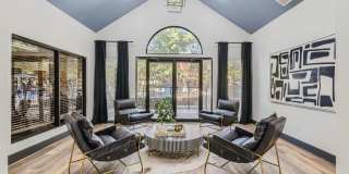 The Orion The Orion Gallery 29