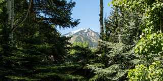 1575 Silver King Drive Gallery 25