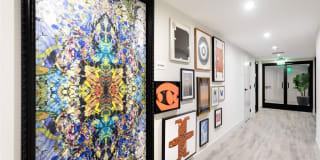 Alexan Gallerie Gallery 45