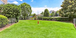 Halston Shiloh Valley Gallery 15