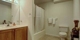 256 Peck Lane Gallery 9